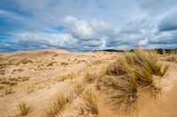 Oregon Dunes
