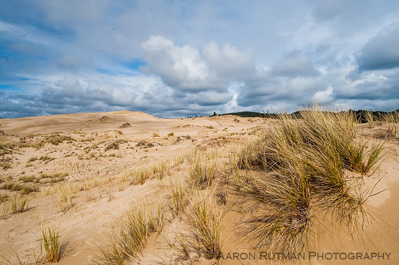 Oregon Dunes