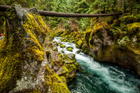 North Umpqua River, OR