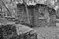 Henry Miller House ruins