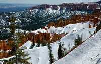 Bryce Winter