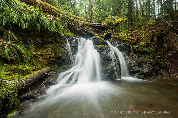 Rustic Falls, Moran State Park, Orcas Island