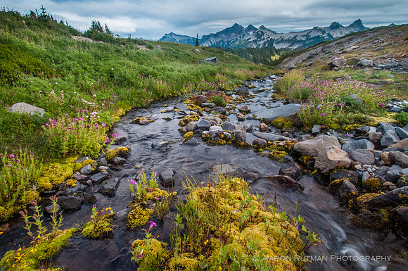 Mount Ranier National Park