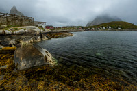 Reine 2