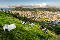 Mt Floyen, Bergen, Norway