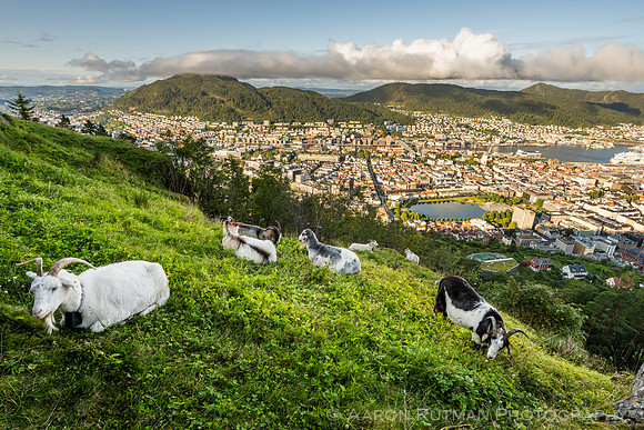 Mt Floyen, Bergen, Norway