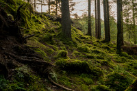 Mt Floyen, Bergen