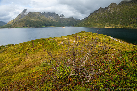 Austnesfjorden, Lofoten, Norway