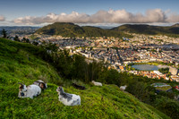 Mt Floyen, Bergen, Norway