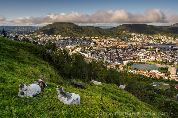 Mt Floyen, Bergen, Norway