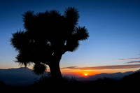 Eureka Peak, Joshua Tree National Park