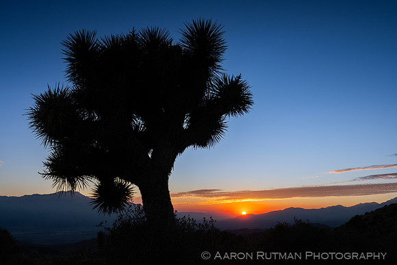 Eureka Peak, Joshua Tree National Park