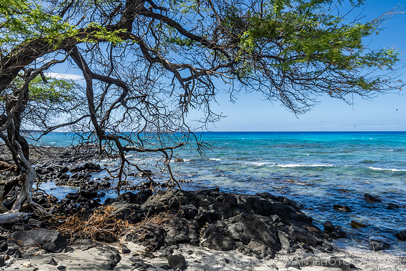 Kiholo Bay