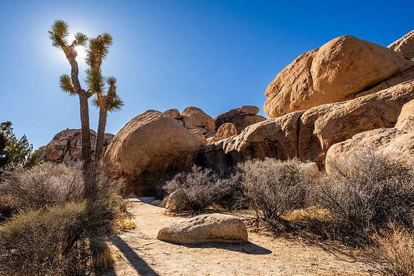 Hall of Horrors Nature Area, Joshua Tree National Park