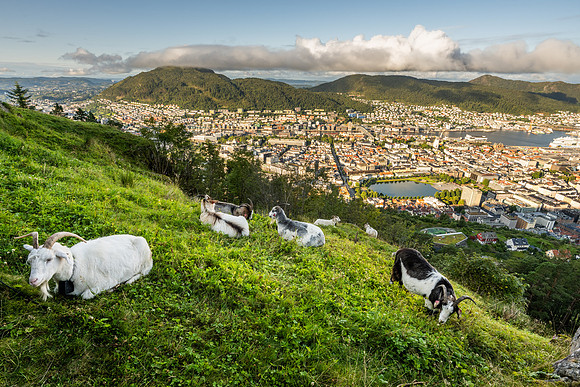 Mt Floyen, Bergen, Norway