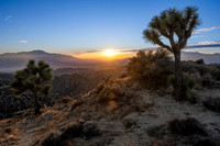 Eureka Peak, Joshua Tree National Park
