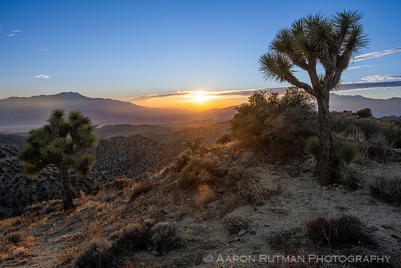 Eureka Peak, Joshua Tree National Park