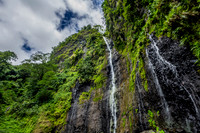 Faarumai