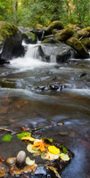 Multnomah falls upstream