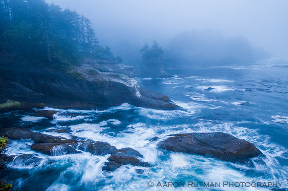 Cape Flattery Fog, Olympic Peninsula