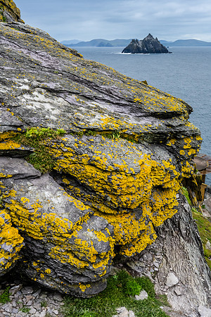 Little Skellig from Skellig Michael