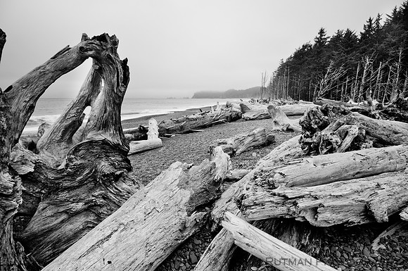 Rialto Beach, Olympic Peninsula