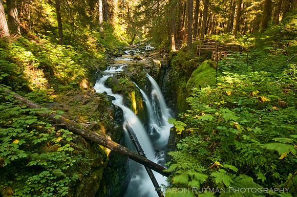 Sol Duc Falls, Olympic Peninsula
