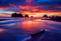 First Beach, La Push, WA