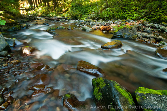 Sol Duc River, Olympic Peninsula
