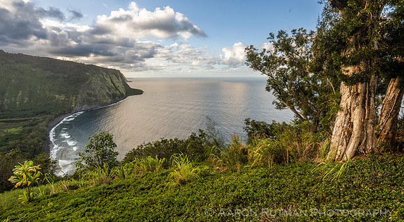 Waipio Lookout