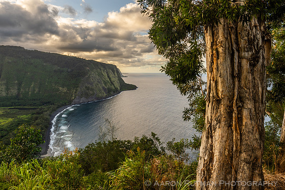 Waipio Lookout