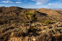 Hi-View Trail, Joshua Tree National Park