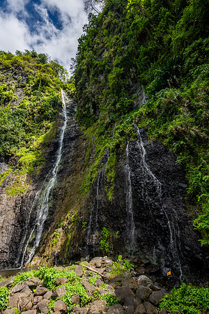 Faarumai