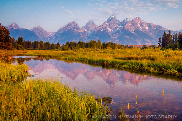 Schwabacher's Landing Sunrise, Grand Teton National Park