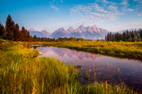 Schwabacher's Landing Sunrise, Grand Teton National Park