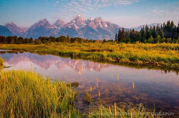 Schwabacher's Landing Sunrise, Grand Teton National Park