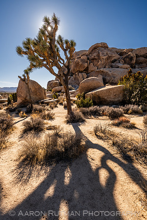 Hall of Horrors Nature Area, Joshua Tree National Park