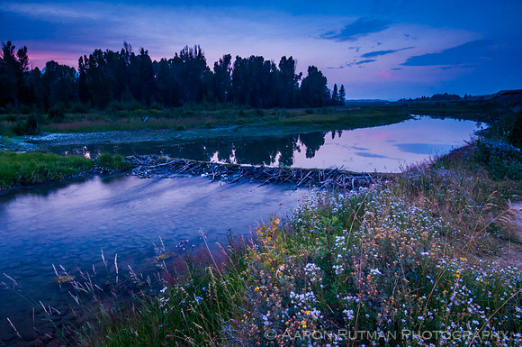 Schwabacher's Landing dusk, Grand Teton National Park