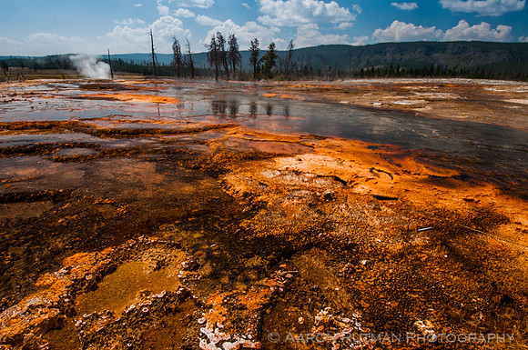 Orange Chromatophores at Biscuit Basin, Yellowstone