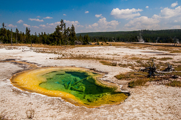 Biscuit Basin, Yellowstone