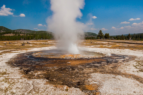 Rusty Geyser, Biscuit Basin, Yellowstone