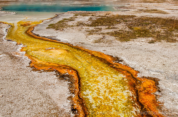 Sapphire Pool runoff, Biscuit Basin, Yellowstone