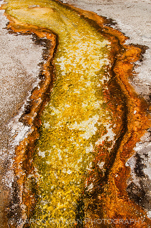 Sapphire Pool runoff, Biscuit Basin, Yellowstone