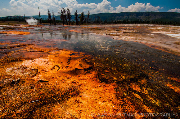 Orange Chromatophores at Biscuit Basin, Yellowstone