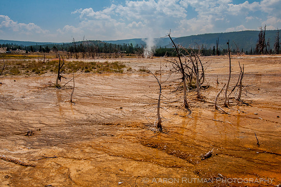 Biscuit Basin, Yellowstone