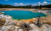 Biscuit Basin, Yellowstone