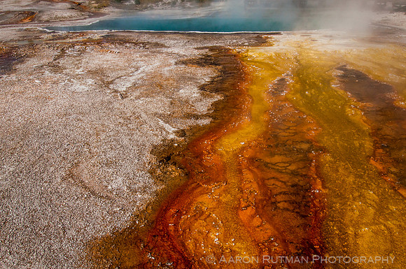 West Thumb, Yellowstone