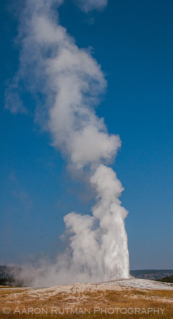 Old Faithful