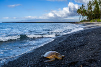 Kiholo Bay