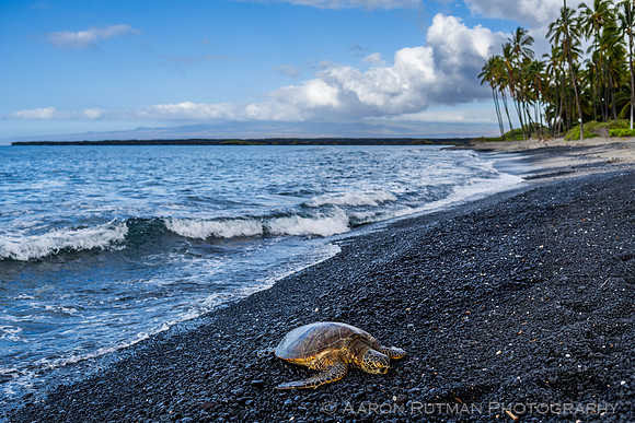 Kiholo Bay